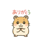 ゴールデンハムスターのぴーぷる5（個別スタンプ：3）