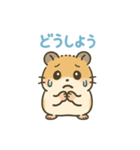 ゴールデンハムスターのぴーぷる5（個別スタンプ：4）