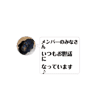 わんこ物語Ⅰ（個別スタンプ：6）