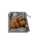 わんこ物語Ⅰ（個別スタンプ：8）