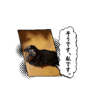 わんこ物語Ⅰ（個別スタンプ：10）