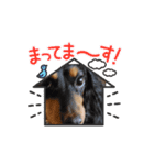 わんこ物語Ⅰ（個別スタンプ：11）