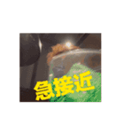つちやさんが焼肉に行った時に使うスタンプ（個別スタンプ：14）