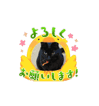黒色ペット達の意見（個別スタンプ：2）