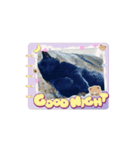 黒色ペット達の意見（個別スタンプ：5）