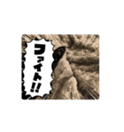 黒色ペット達の意見（個別スタンプ：6）