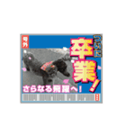 黒色ペット達の意見（個別スタンプ：8）