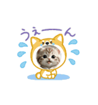 素敵な猫ちゃん（個別スタンプ：4）