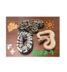 by林設備（個別スタンプ：2）