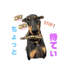 by林設備（個別スタンプ：3）