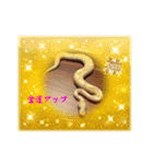 by林設備（個別スタンプ：5）