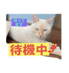 by林設備（個別スタンプ：11）