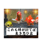 by林設備（個別スタンプ：13）