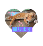 by林設備（個別スタンプ：14）