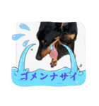 by林設備（個別スタンプ：15）