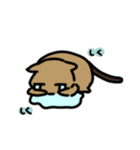 デグーのるるちゃんスタンプ（個別スタンプ：8）