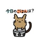 デグーのるるちゃんスタンプ（個別スタンプ：17）