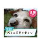 1日元気ワクワクなっちゃん13花見（個別スタンプ：2）