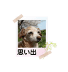 1日元気ワクワクなっちゃん13花見（個別スタンプ：3）