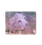 1日元気ワクワクなっちゃん13花見（個別スタンプ：5）