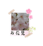 1日元気ワクワクなっちゃん13花見（個別スタンプ：7）