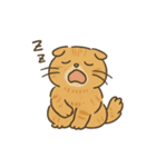 まる 日常会話（個別スタンプ：11）