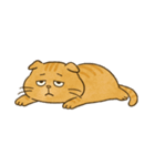まる 日常会話（個別スタンプ：14）
