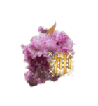 Msuga_20250412175915（個別スタンプ：8）