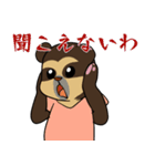 メガネグマの承認（個別スタンプ：24）