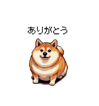 使いやすい太っちょ柴犬 日常会話（個別スタンプ：7）