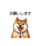 使いやすい太っちょ柴犬 日常会話（個別スタンプ：8）