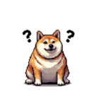 使いやすい太っちょ柴犬 日常会話（個別スタンプ：9）