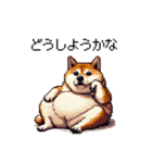 使いやすい太っちょ柴犬 日常会話（個別スタンプ：10）