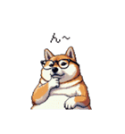 使いやすい太っちょ柴犬 日常会話（個別スタンプ：11）
