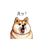 使いやすい太っちょ柴犬 日常会話（個別スタンプ：12）