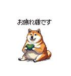 使いやすい太っちょ柴犬 日常会話（個別スタンプ：16）