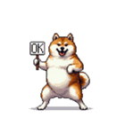 使いやすい太っちょ柴犬 日常会話（個別スタンプ：20）