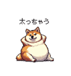 使いやすい太っちょ柴犬 日常会話（個別スタンプ：23）