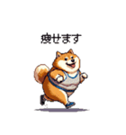 使いやすい太っちょ柴犬 日常会話（個別スタンプ：24）
