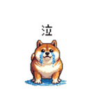 使いやすい太っちょ柴犬 日常会話（個別スタンプ：25）