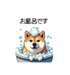 使いやすい太っちょ柴犬 日常会話（個別スタンプ：30）