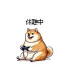 使いやすい太っちょ柴犬 日常会話（個別スタンプ：31）