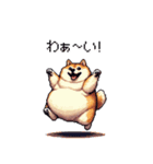 使いやすい太っちょ柴犬 日常会話（個別スタンプ：33）