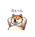 使いやすい太っちょ柴犬 日常会話（個別スタンプ：38）