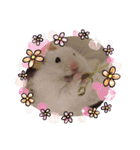 あかりんとマロのスタンプ③（個別スタンプ：15）