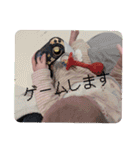 あかりんとマロのスタンプ③（個別スタンプ：22）