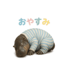 動物でおやすみ（個別スタンプ：9）