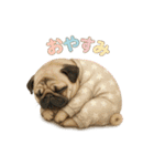 動物でおやすみ（個別スタンプ：17）