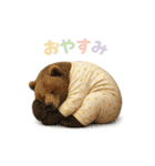 動物でおやすみ（個別スタンプ：25）
