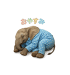 動物でおやすみ（個別スタンプ：27）